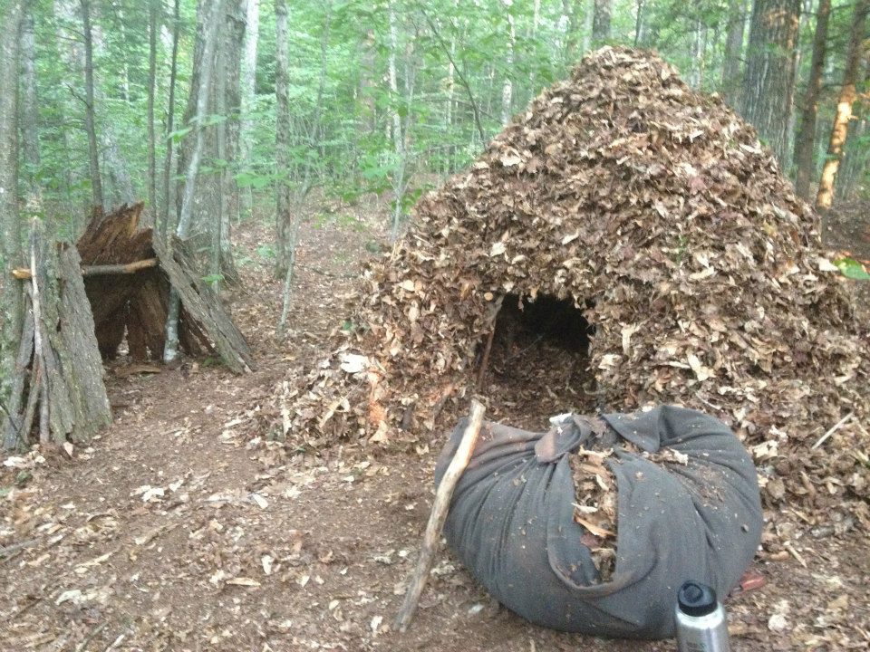 debris hut